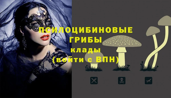 сатива Бронницы