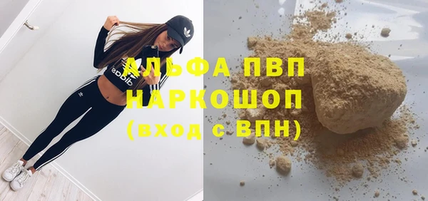 сатива Бронницы