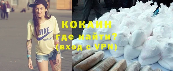сатива Бронницы