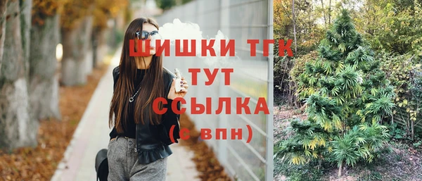 сатива Бронницы