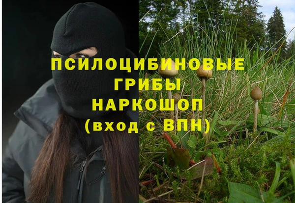mdpv Волосово