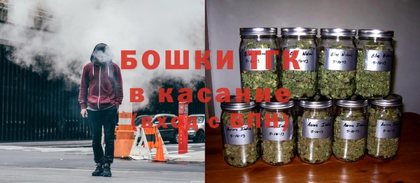 сатива Бронницы